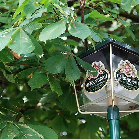 Hofmark Brauereigasthof Hotel Lenting Kültér fotó