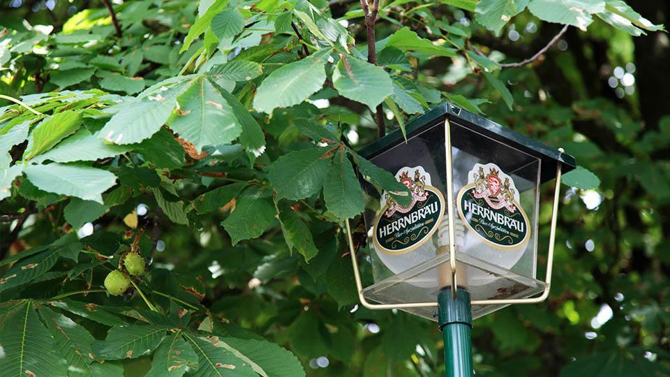Hofmark Brauereigasthof Hotel Lenting Kültér fotó